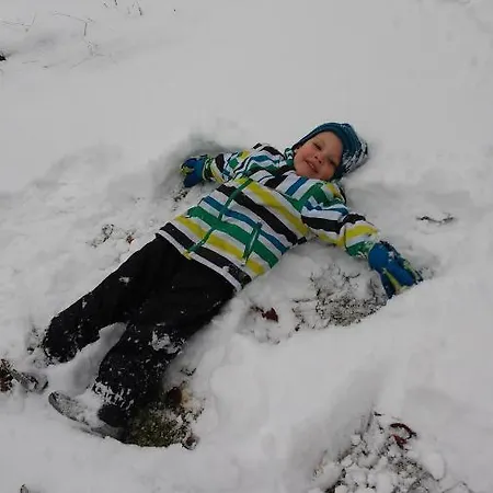 Apartament Hinterfischbachhof *