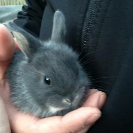 Hinterfischbachhof *