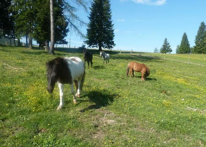 Hinterfischbachhof Radstadt