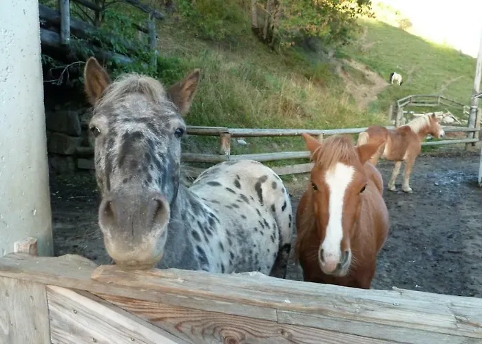 Hinterfischbachhof * Radstadt