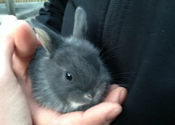 Hinterfischbachhof *