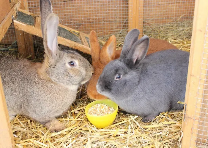 Hinterfischbachhof *